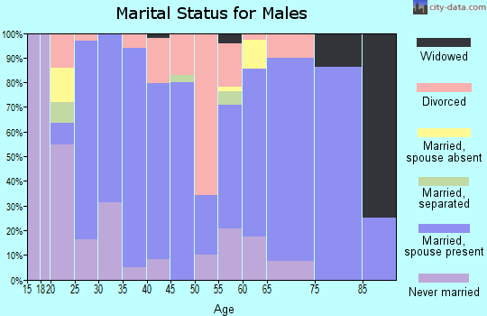 Zip code 46504 marital status for males
