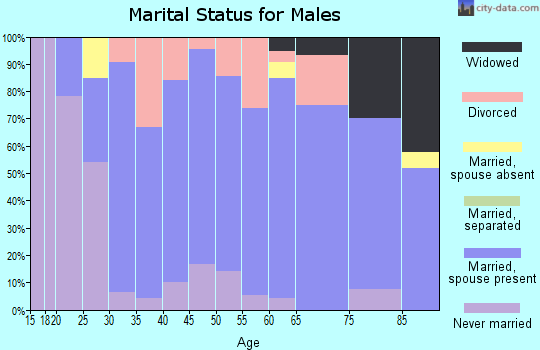 Zip code 46506 marital status for males