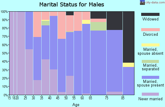 Zip code 46507 marital status for males