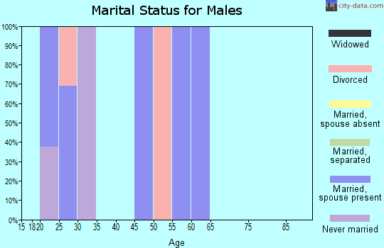 Zip code 46508 marital status for males