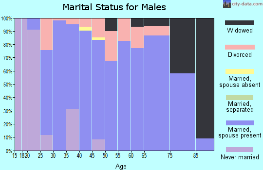 Zip code 46510 marital status for males