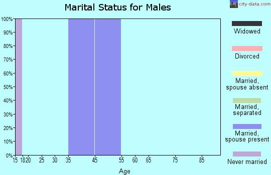 Zip code 46513 marital status for males