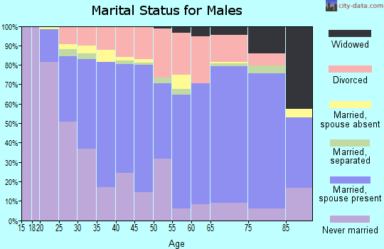 Zip code 46516 marital status for males