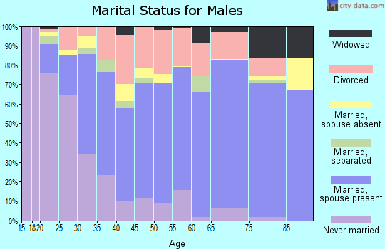 Zip code 46517 marital status for males