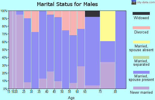 Zip code 46524 marital status for males