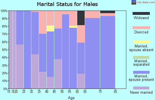 Zip code 46532 marital status for males