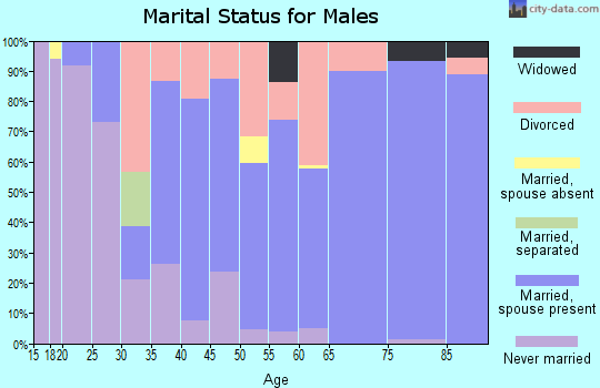 Zip code 46536 marital status for males