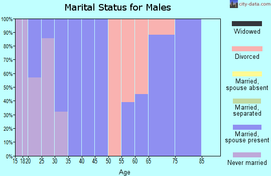 Zip code 46537 marital status for males