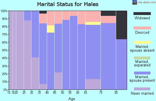 Zip code 46538 marital status for males