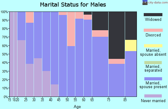 Zip code 46539 marital status for males