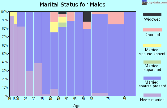 Zip code 46540 marital status for males