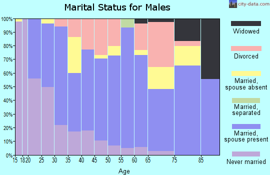 Zip code 46542 marital status for males