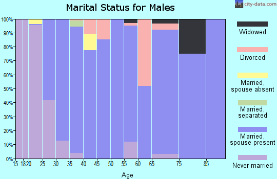 Zip code 46543 marital status for males
