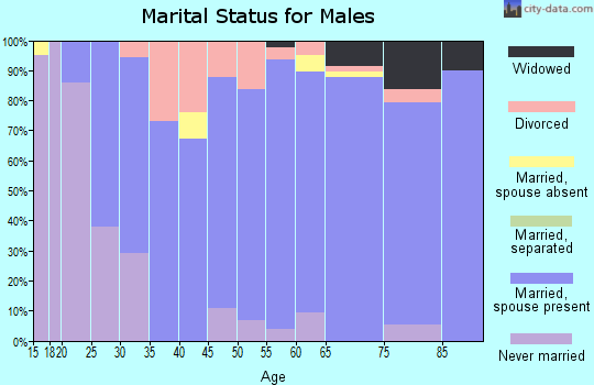 Zip code 46550 marital status for males