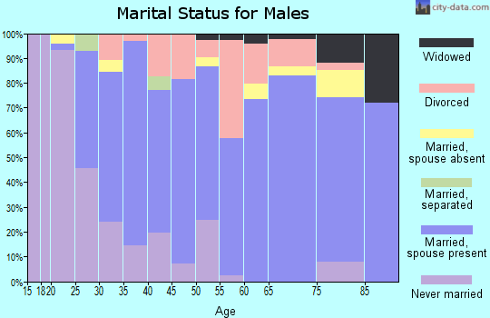 Zip code 46552 marital status for males