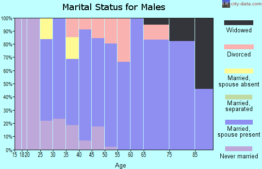 Zip code 46553 marital status for males
