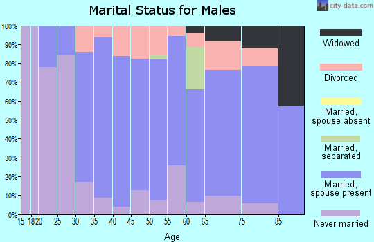 Zip code 46554 marital status for males
