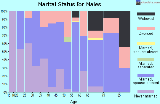 Zip code 46555 marital status for males