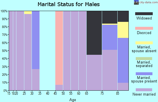 Zip code 46556 marital status for males