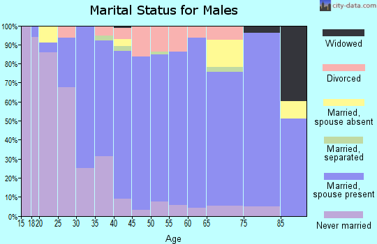 Zip code 46561 marital status for males