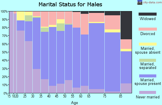 Zip code 46563 marital status for males