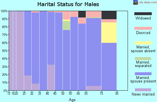 Zip code 46565 marital status for males