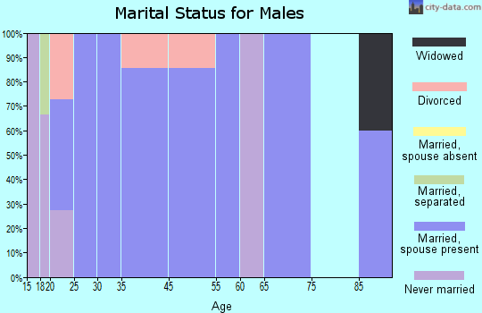 Zip code 46566 marital status for males