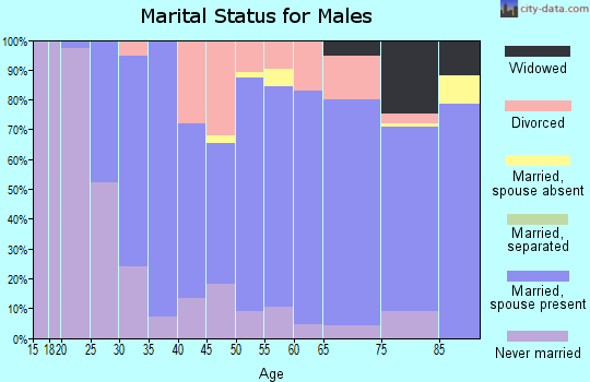 Zip code 46567 marital status for males