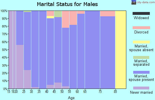 Zip code 46571 marital status for males