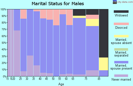 Zip code 46573 marital status for males