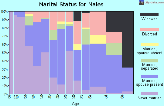 Zip code 46613 marital status for males