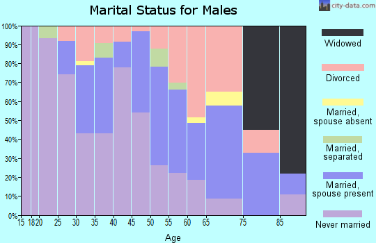 Zip code 46616 marital status for males