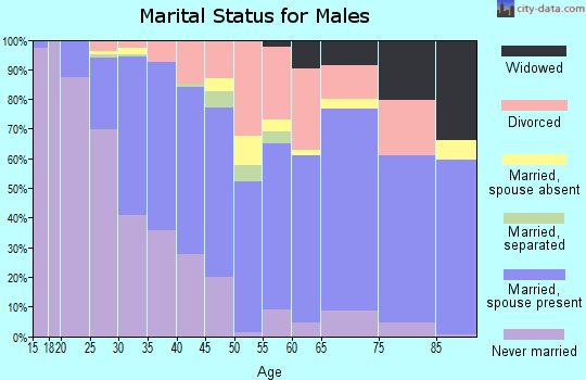 Zip code 46619 marital status for males