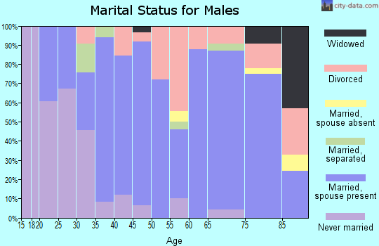 Zip code 46635 marital status for males