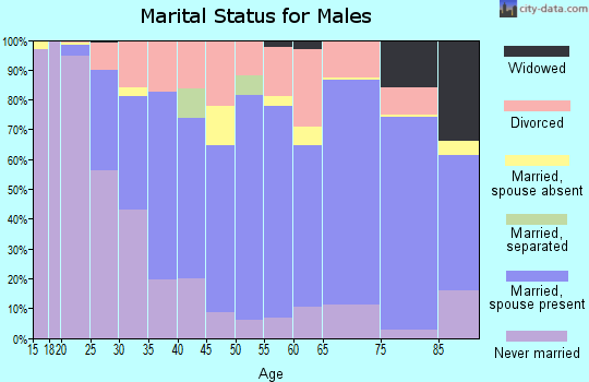 Zip code 46637 marital status for males