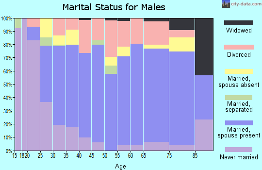 Zip code 46701 marital status for males