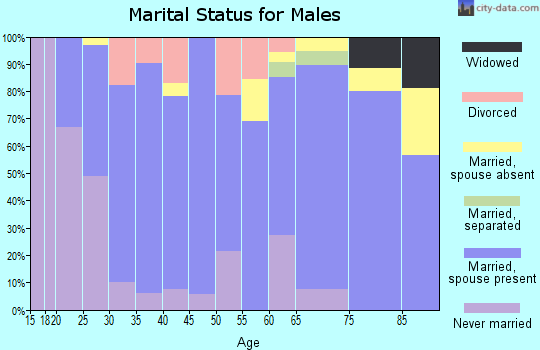 Zip code 46711 marital status for males