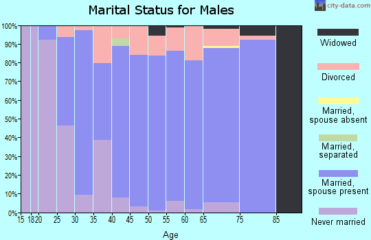 Zip code 46723 marital status for males