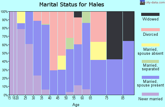 Zip code 46732 marital status for males