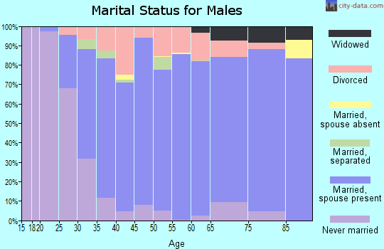 Zip code 46737 marital status for males