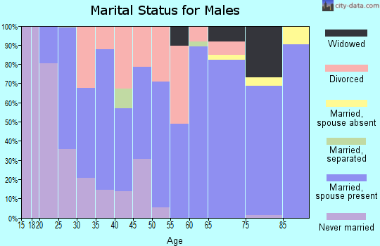 Zip code 46738 marital status for males