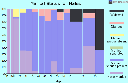 Zip code 46741 marital status for males