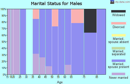 Zip code 46745 marital status for males