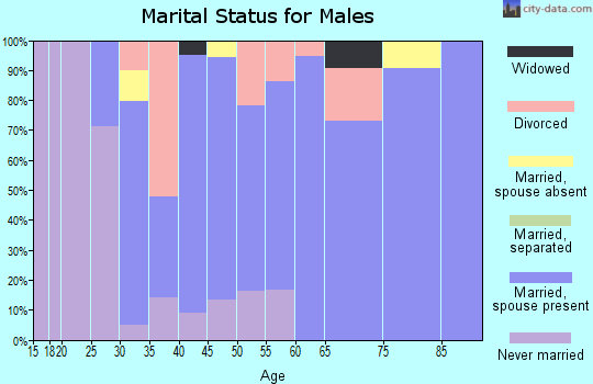 Zip code 46747 marital status for males