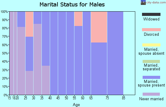 Zip code 46763 marital status for males