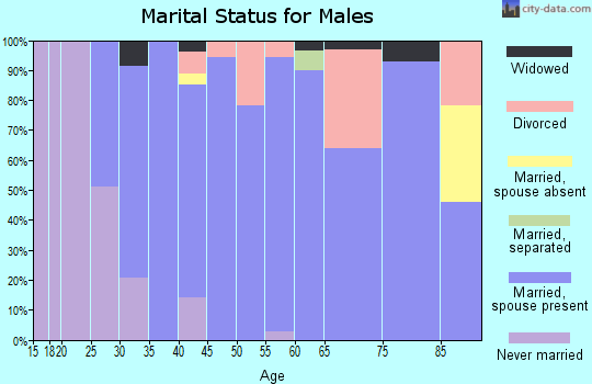 Zip code 46765 marital status for males