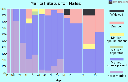 Zip code 46767 marital status for males