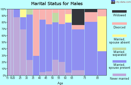 Zip code 46770 marital status for males