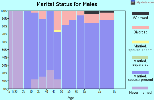 Zip code 46776 marital status for males