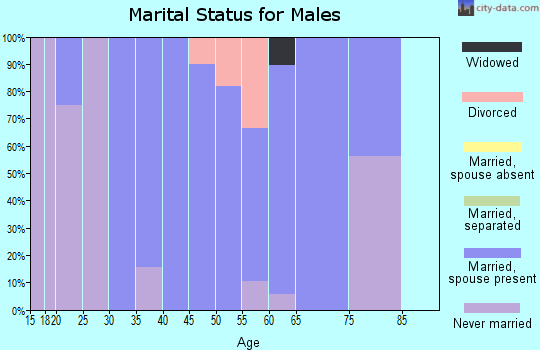 Zip code 46779 marital status for males